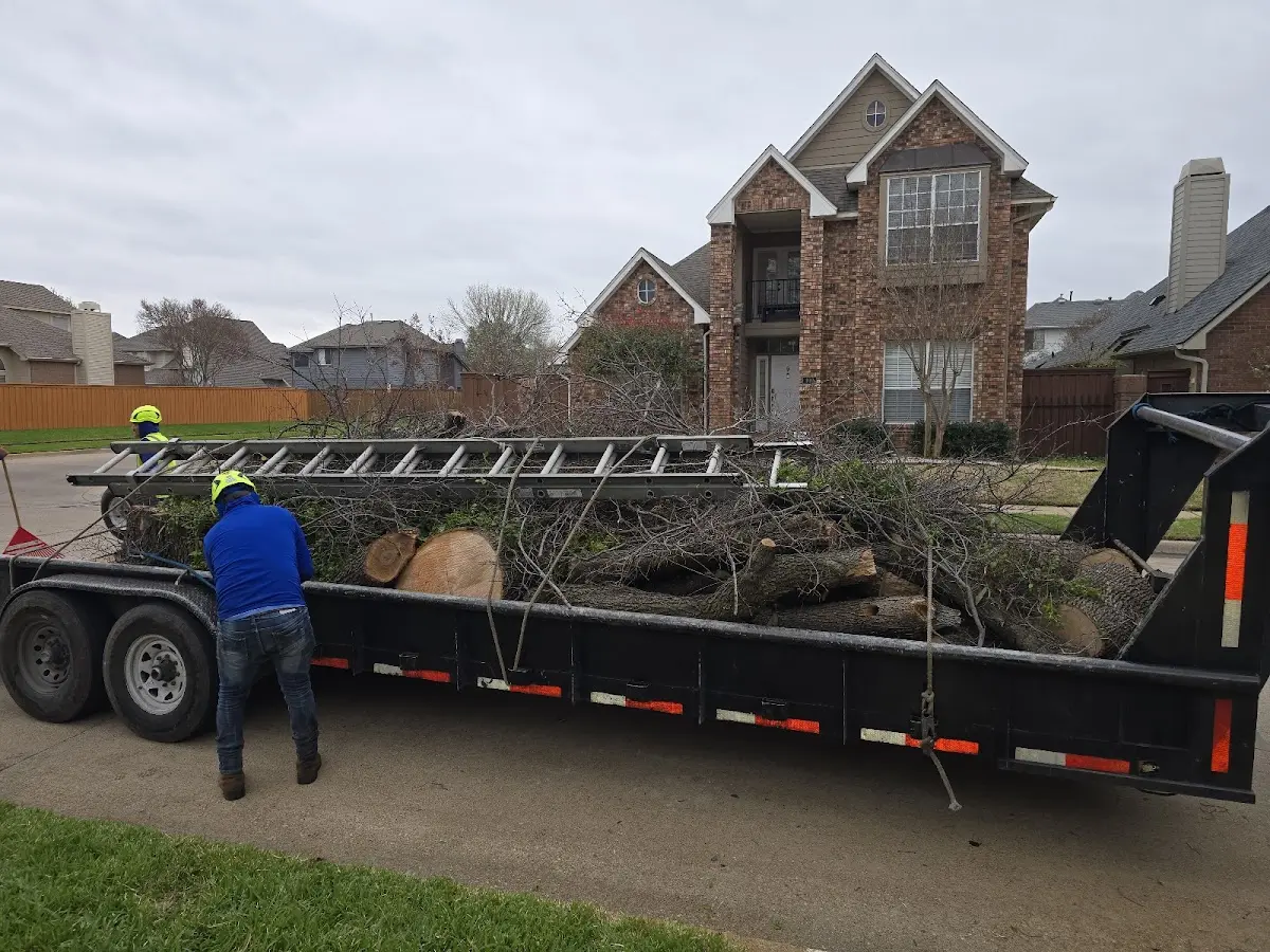 Expert Tree Fertilization with proper safety equipment in Sherwood